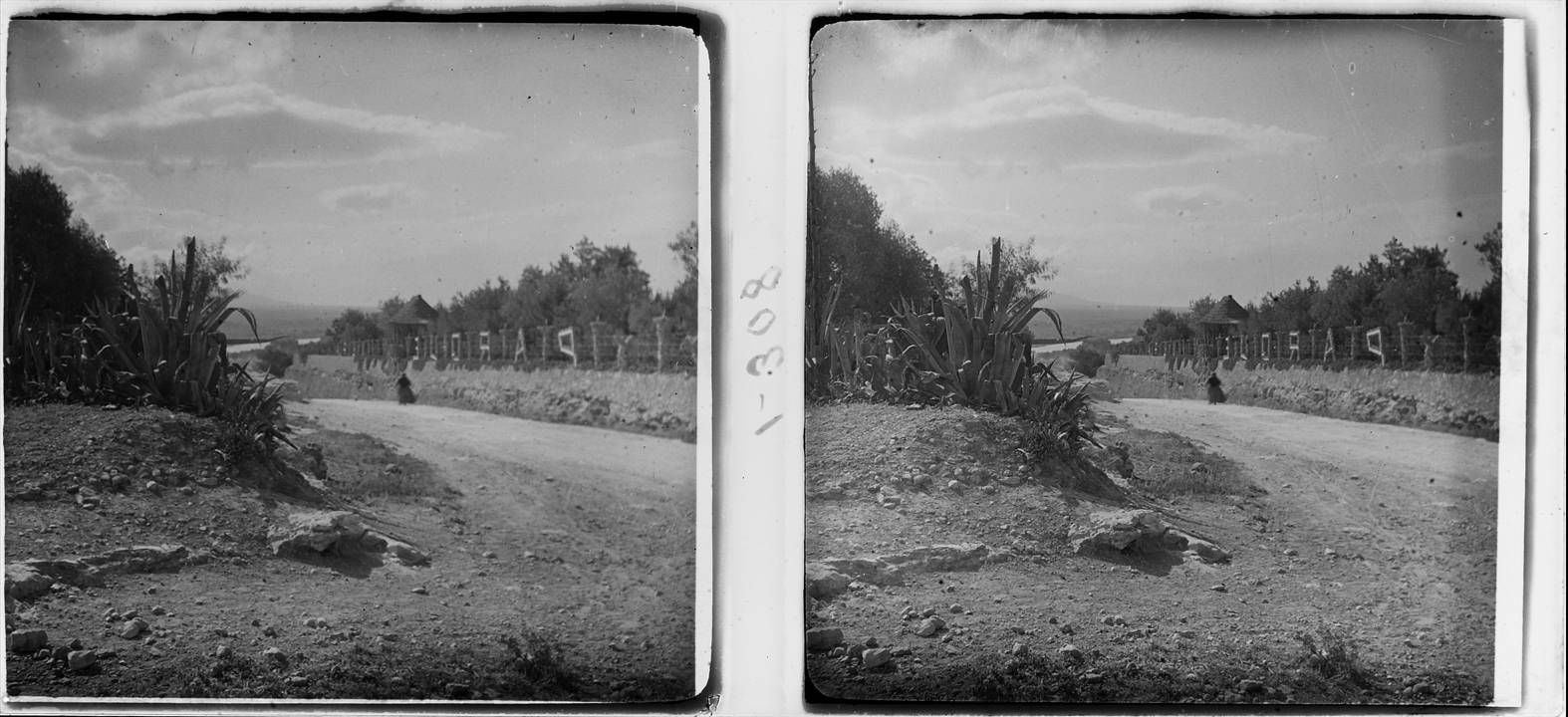 Una imagen estereoscópica en blanco y negro muestra un camino de tierra entre vegetación y una persona a lo lejos.