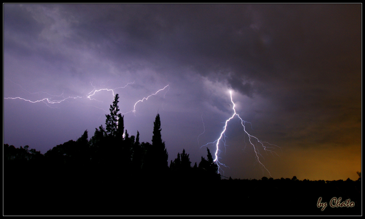 Varios rayos iluminan un cielo cubierto sobre una línea de árboles.