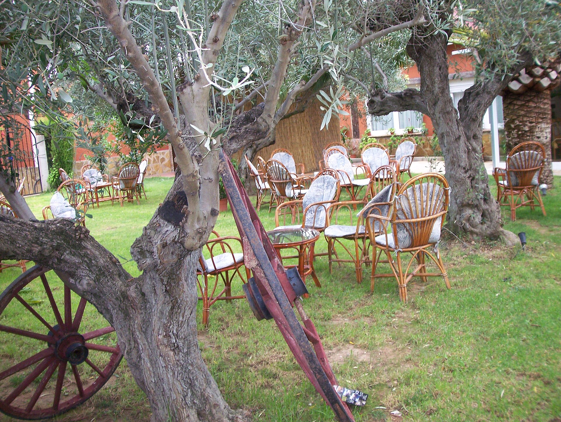 Patio ajardinado con varias sillas de mimbre y árboles.