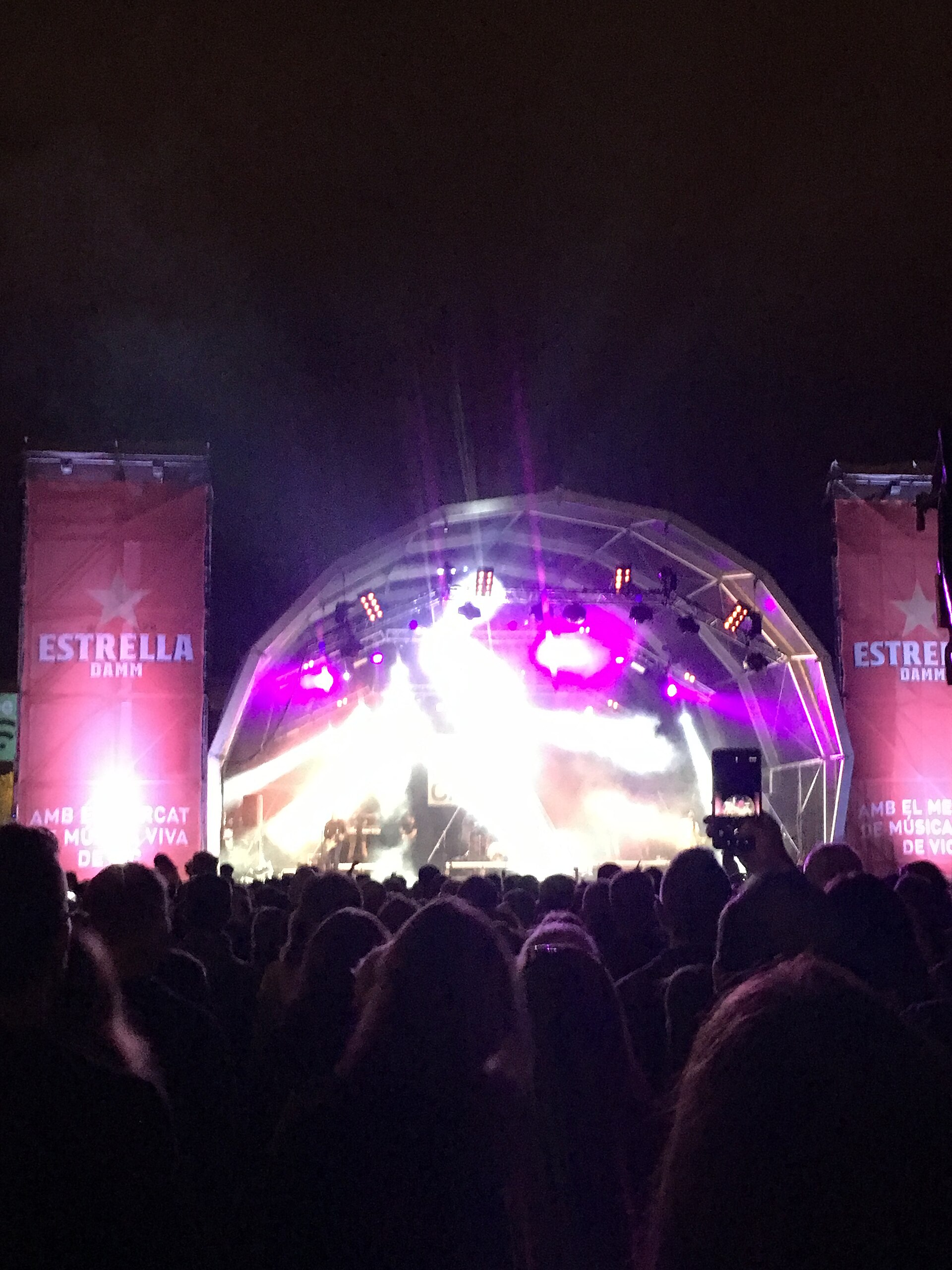 Público ante un escenario iluminado durante una actuación musical.